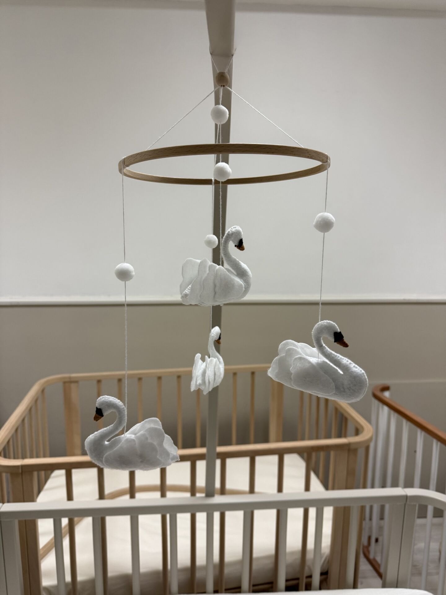 Swans Dönence