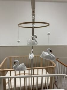Swans Dönence